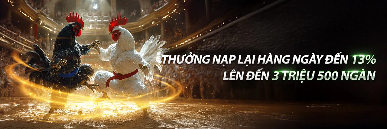 Sân vận động lớn với khán giả cổ vũ, thể hiện sự sôi động của cá cược thể thao DN88