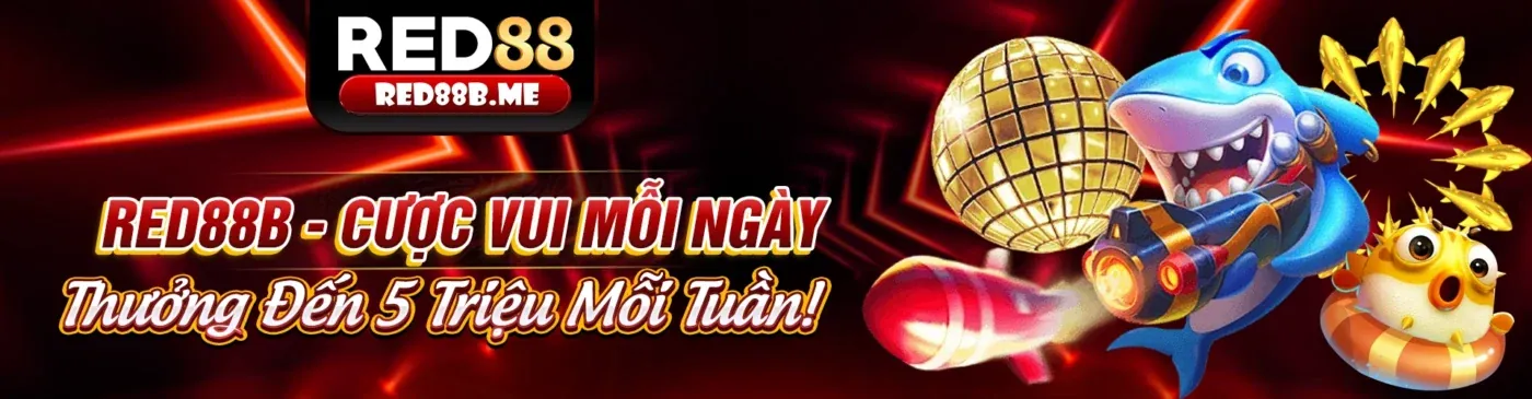 Hình ảnh giới thiệu DN88 Đăng Ký