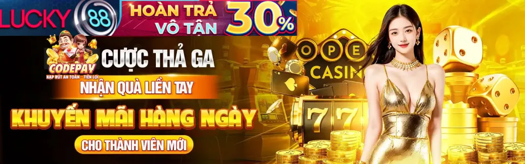 Chương trình VIP và phần thưởng độc quyền DN88